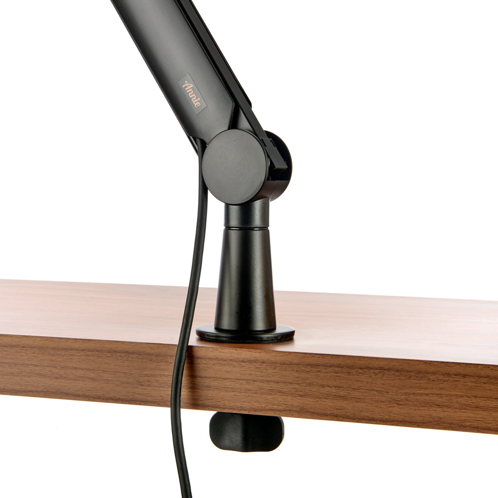 Annie Professional Studio Microphone Arm