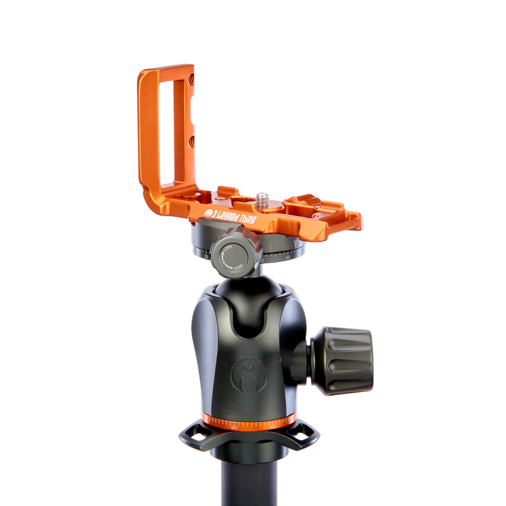 Zayla L-bracket on Airhed