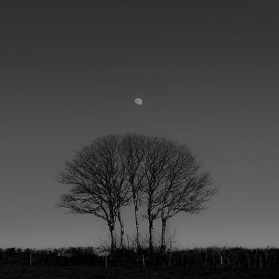 Guest Blog: Long Exposures - The step by step guide to successful long exposures by Paul Sanders