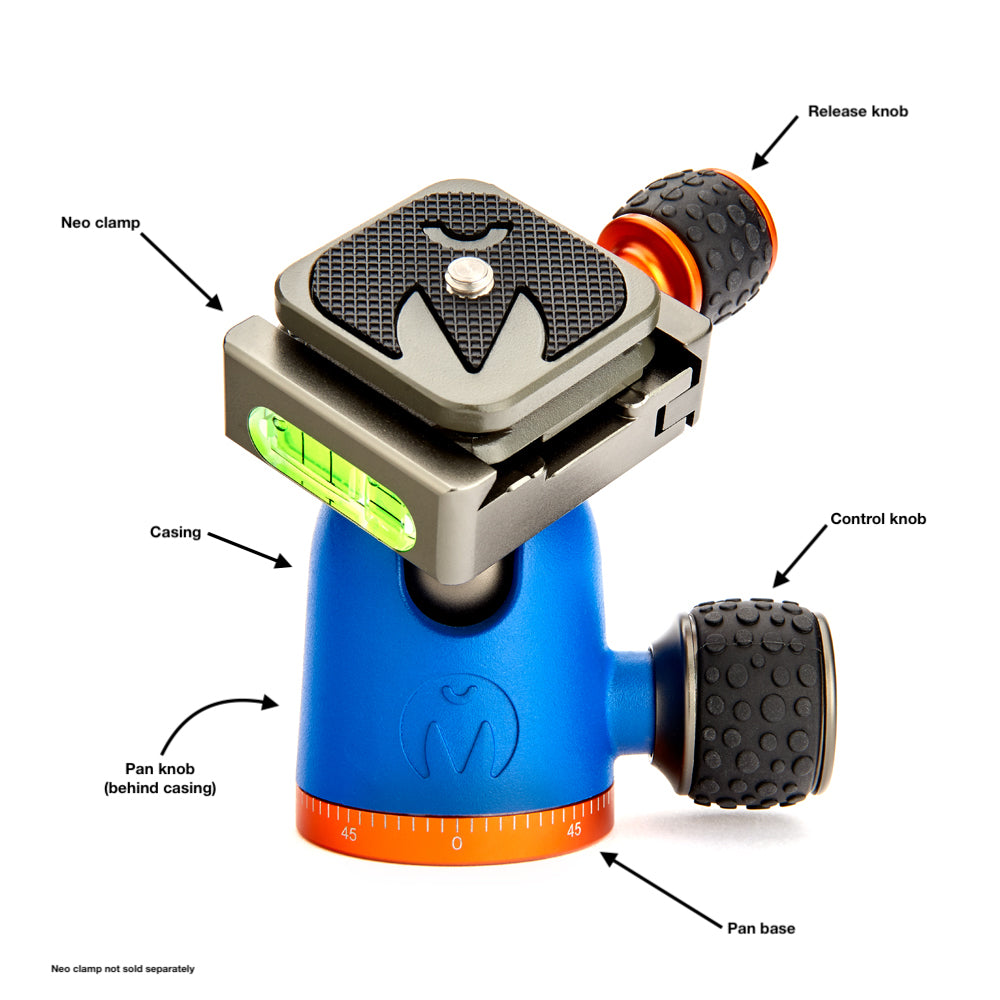 Ask Megan: AirHed Anatomy