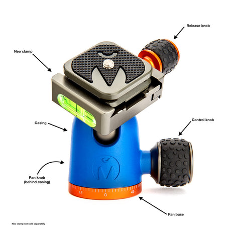 Ask Megan: AirHed Anatomy