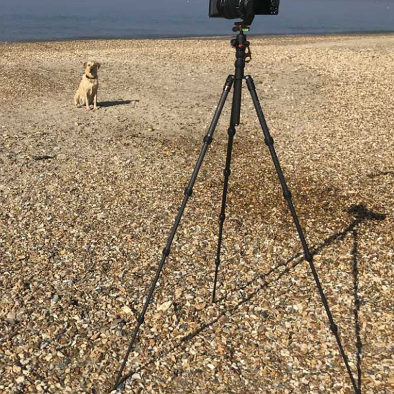 Camera Jabber Reviews Punks Brian Travel Tripod