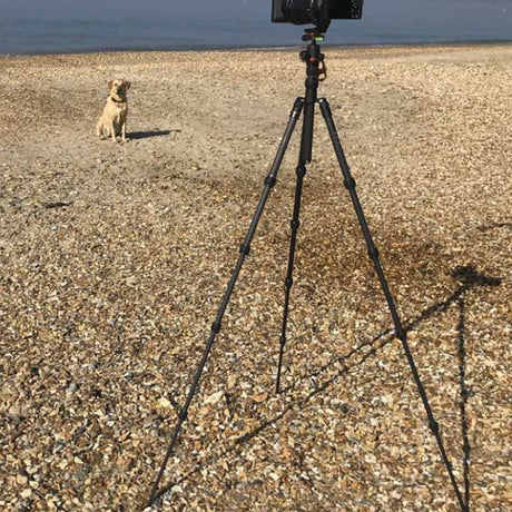 Camera Jabber Reviews Punks Brian Travel Tripod