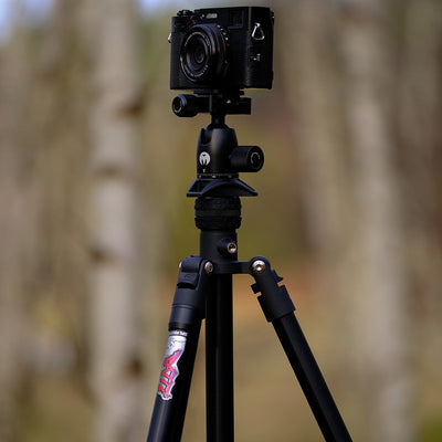 Patti 2.0 is reviewed by Camera Jabber