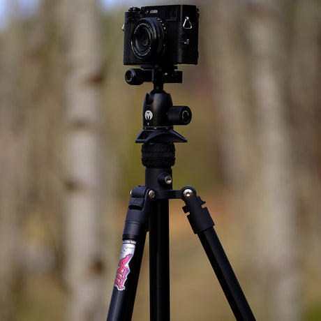 Patti 2.0 is reviewed by Camera Jabber