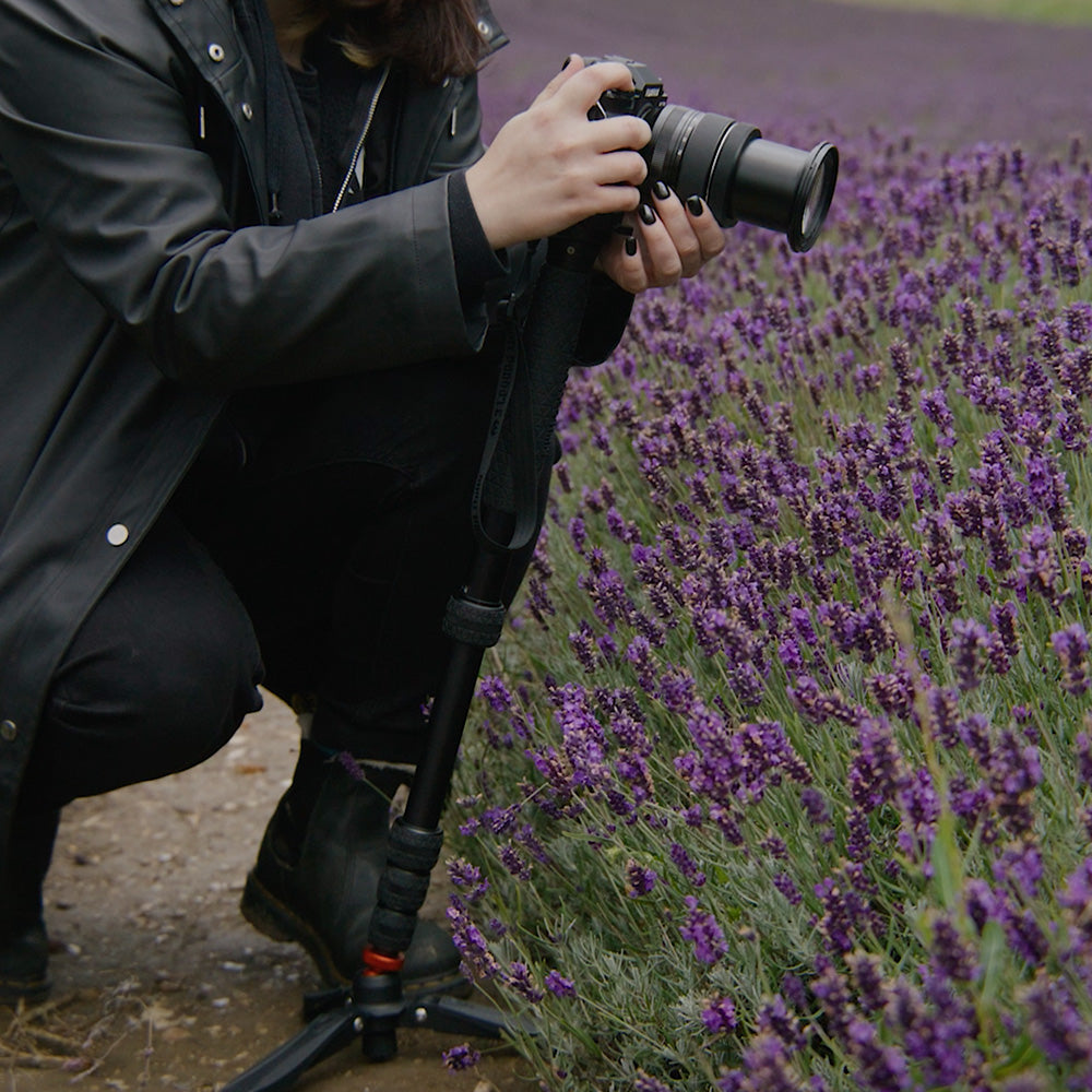 Digital Camera World review the new Punks Taylor 2.0 travel-friendly monopod