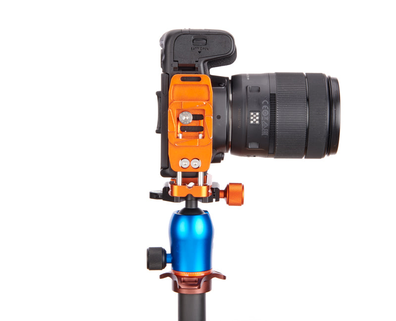 CANON 850D on Ellie PD Short - Underside view