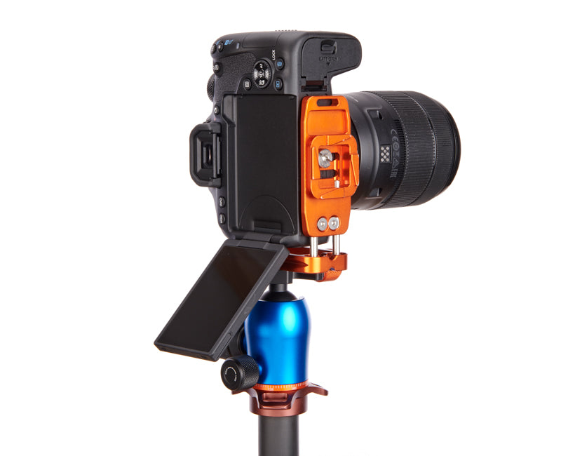 CANON 850D on Ellie PD Short - Rear view