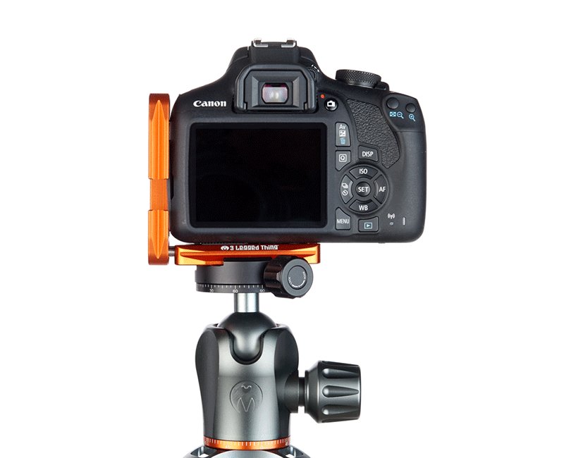 CANON 2000D on Ellie Short - Rear view