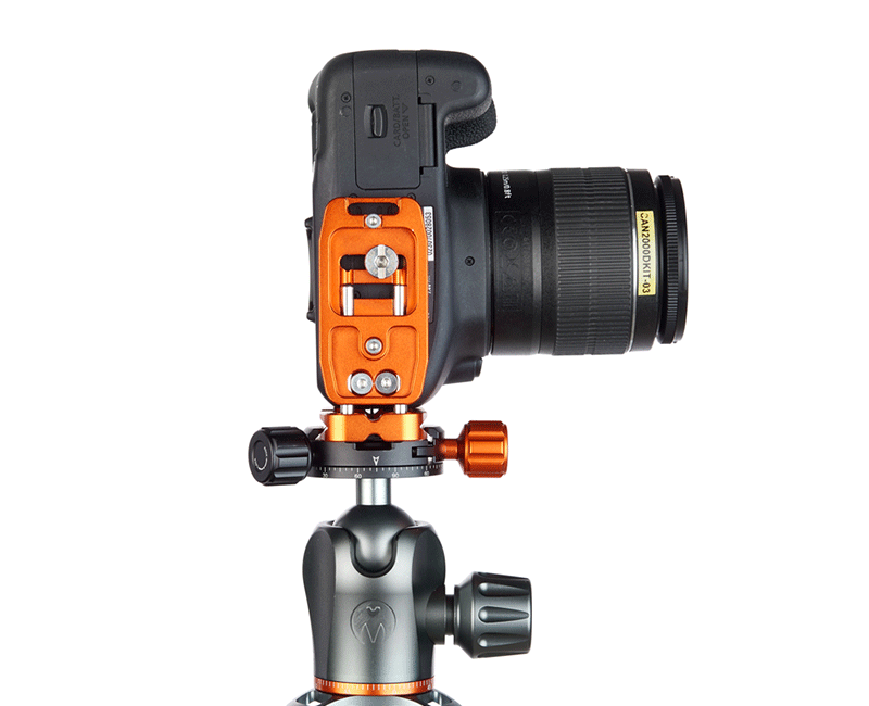 CANON 2000D on Ellie Short - Underside view