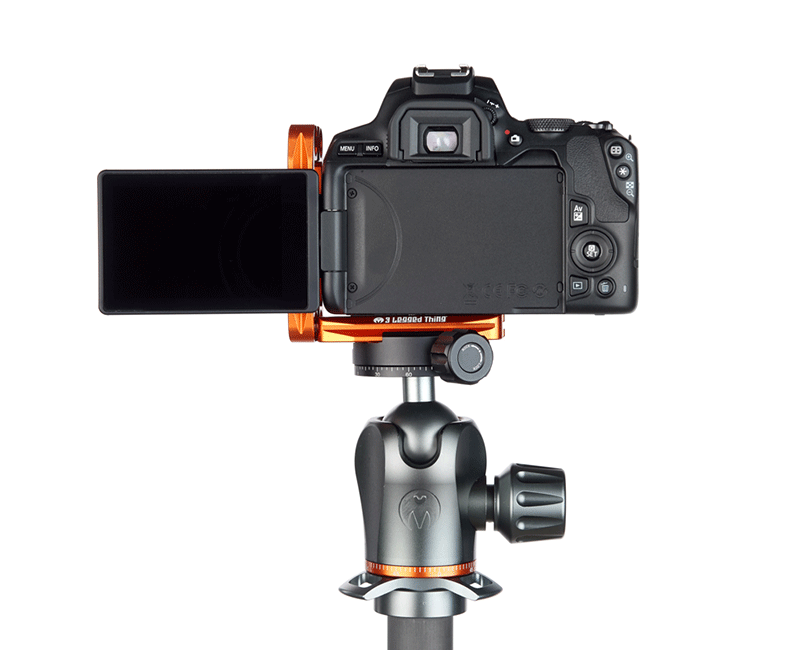 CANON 250D on Ellie Short - Rear view