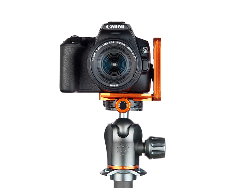 CANON 250D on Ellie Short - Front view