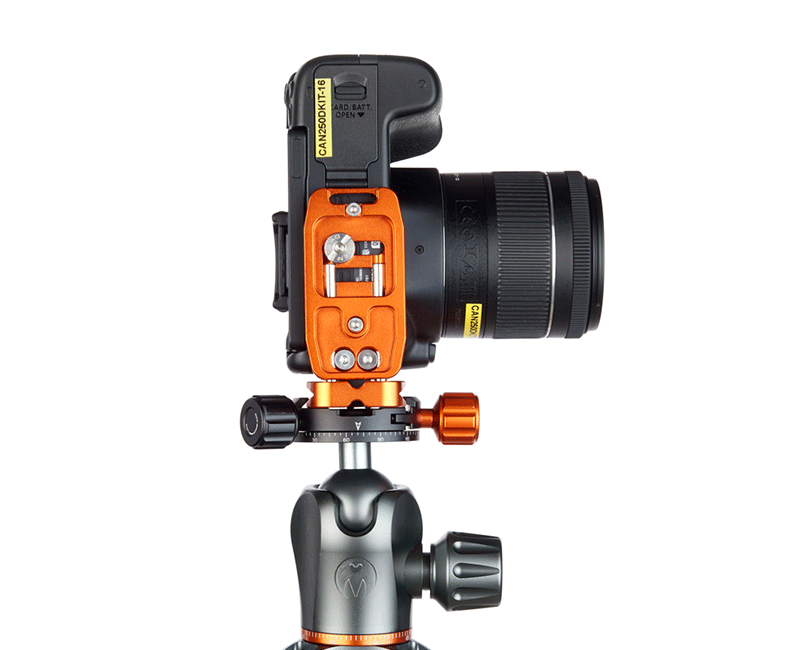 CANON 250D on Ellie Short - Underside view