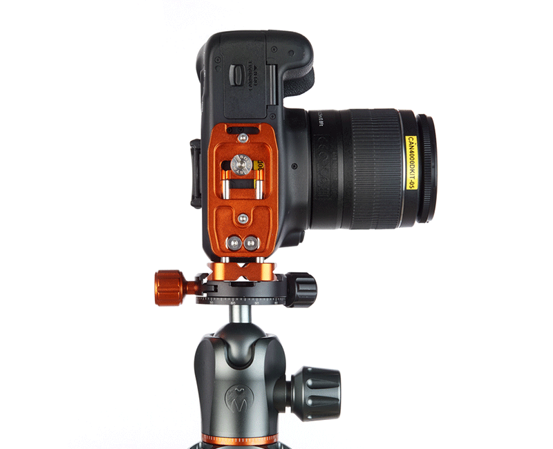 CANON 4000D on Ellie Short - Underside view