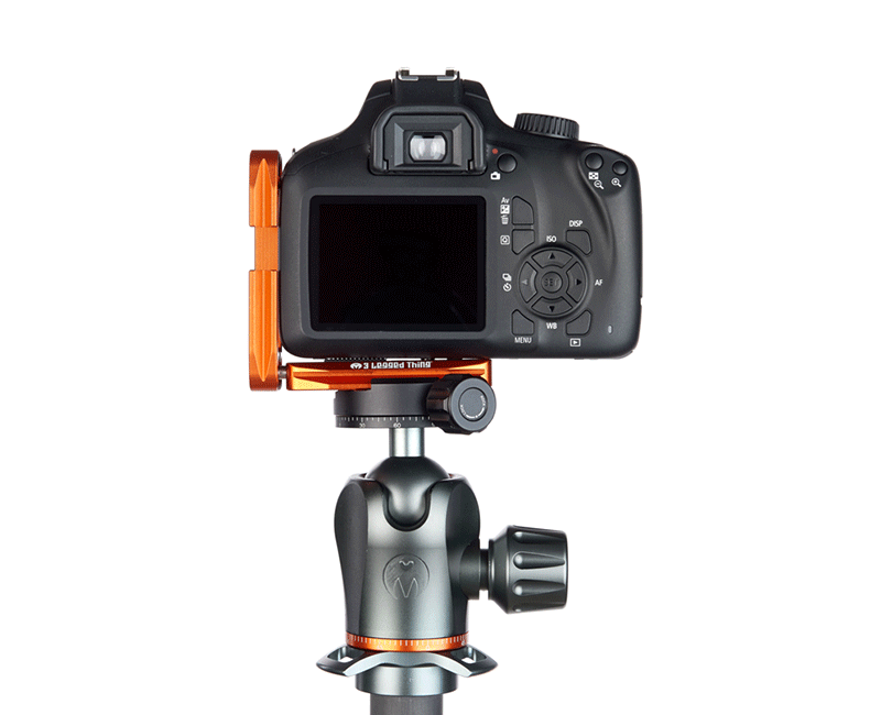 CANON 4000D on Ellie Short - Rear view