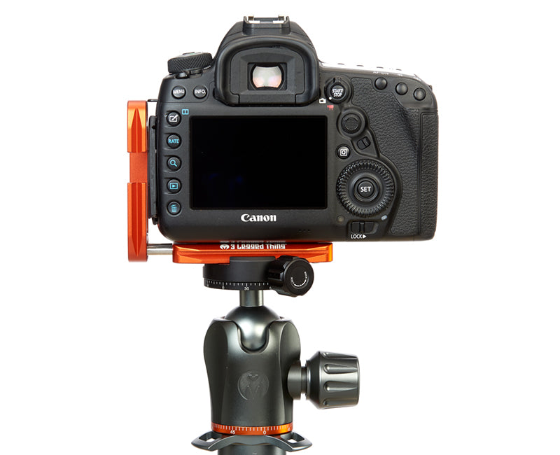 CANON 5D Mk IV on Ellie - Rear view