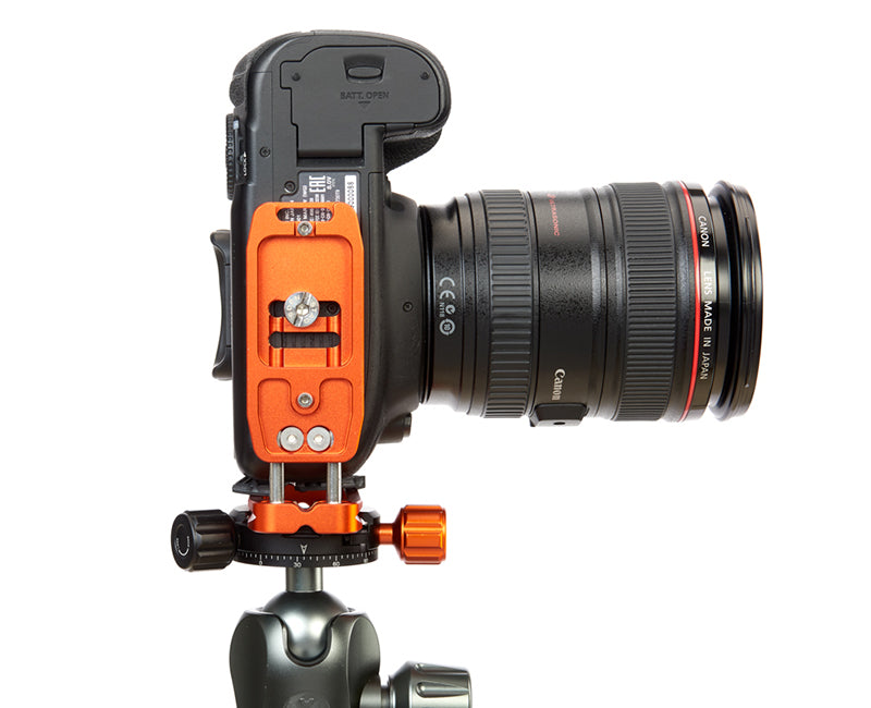 CANON 5D Mk IV on Ellie - Underside view