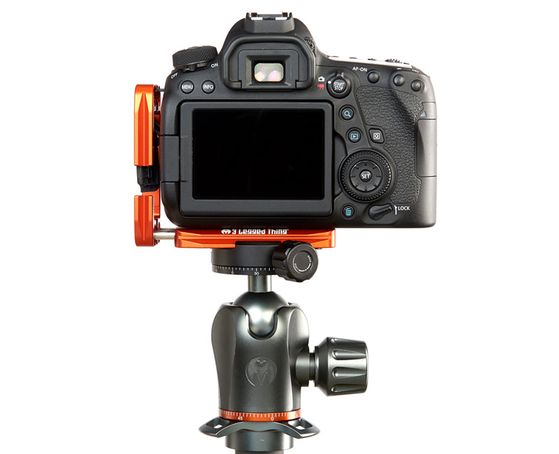 CANON 6D Mk II on Ellie - Rear view