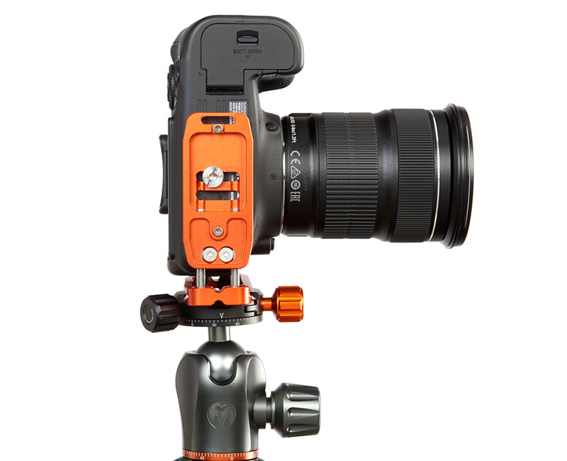 CANON 6D Mk II on Ellie - Underside view