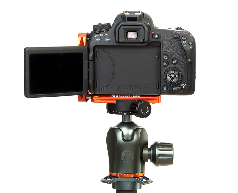 CANON 77D on Ellie - Rear view, Screen Open