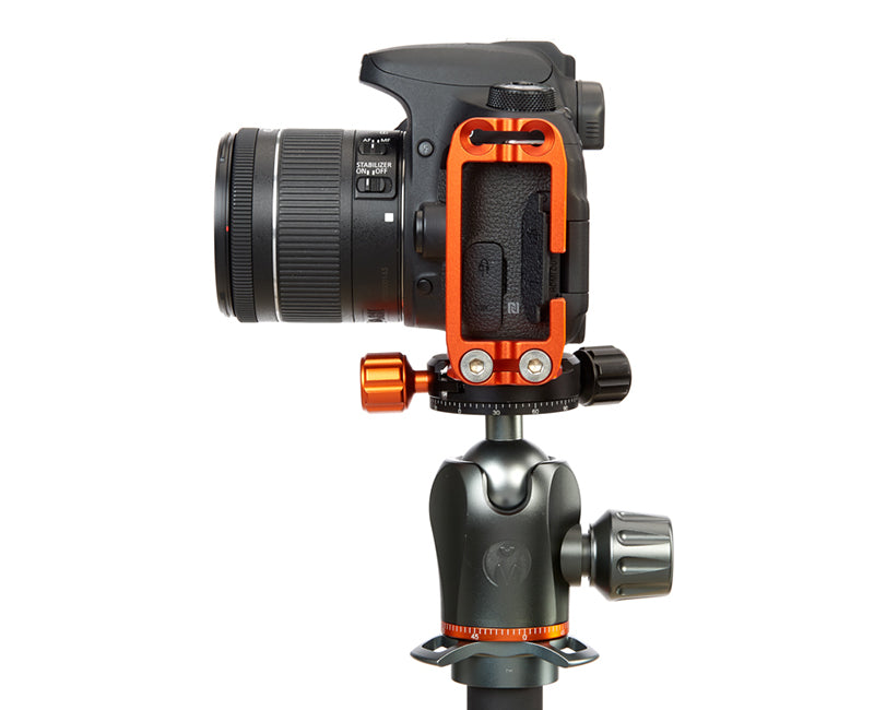 CANON 77D on Ellie - Side view