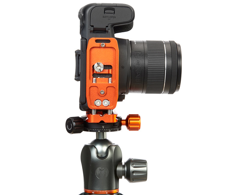 CANON 77D on Ellie - Underside view