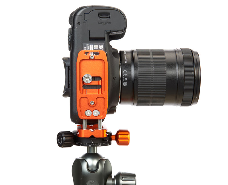 CANON 7D Mk II on Ellie - Underside view