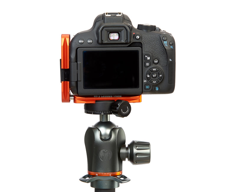 CANON 800D on Ellie - Rear view