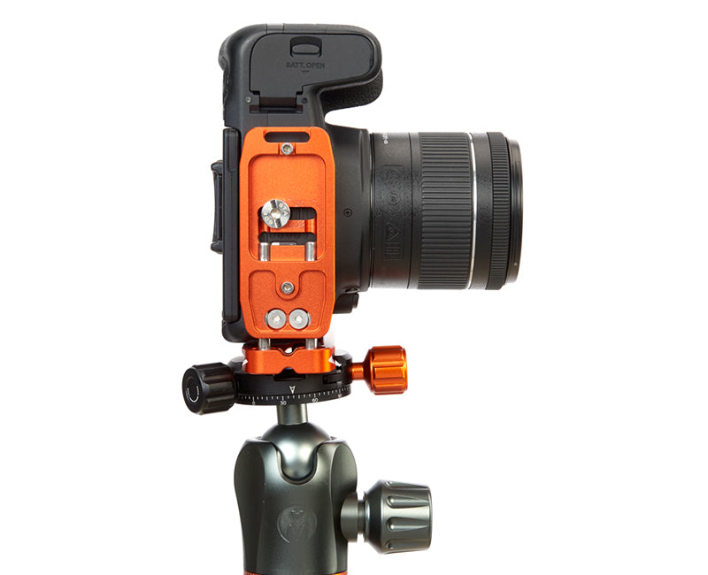 CANON 800D on Ellie - Underside view