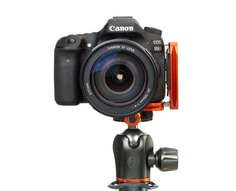 CANON 80D on Ellie - Front view