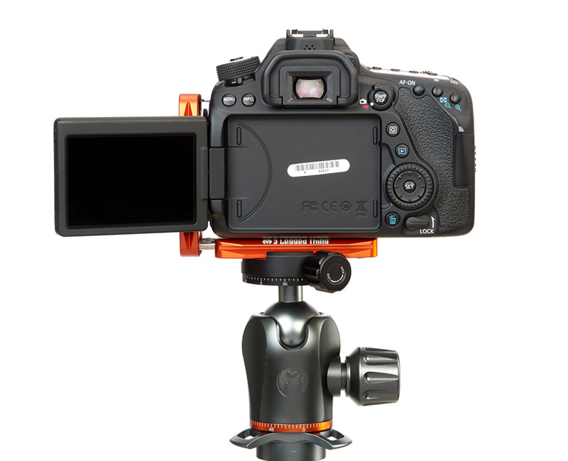 CANON 80D on Ellie - Rear view