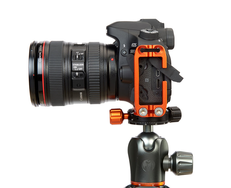 CANON 80D on Ellie - Side view