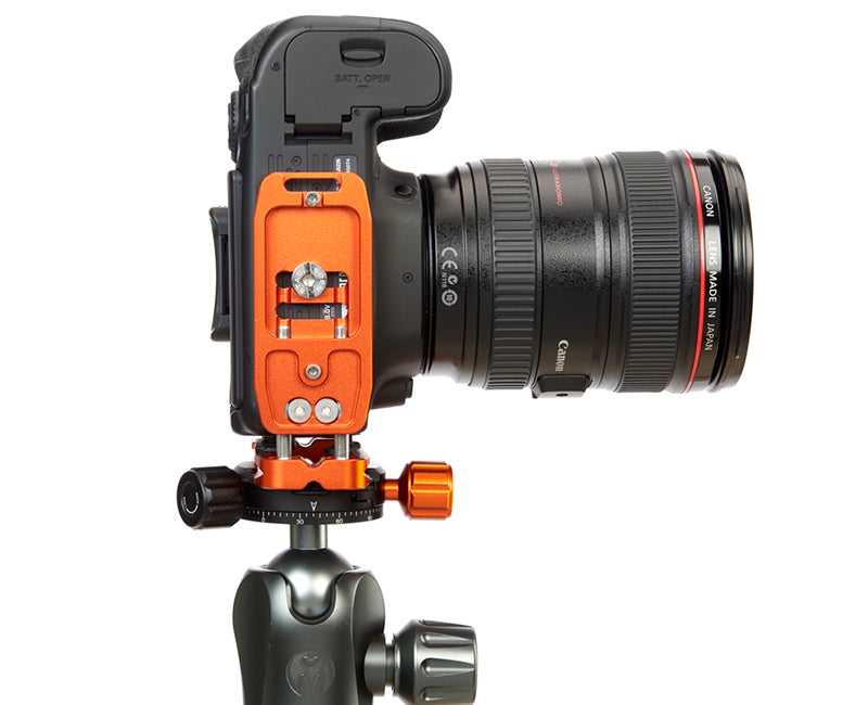 CANON 80D on Ellie - Underside view