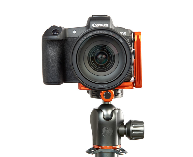 CANON EOS-R on Ellie - Front view