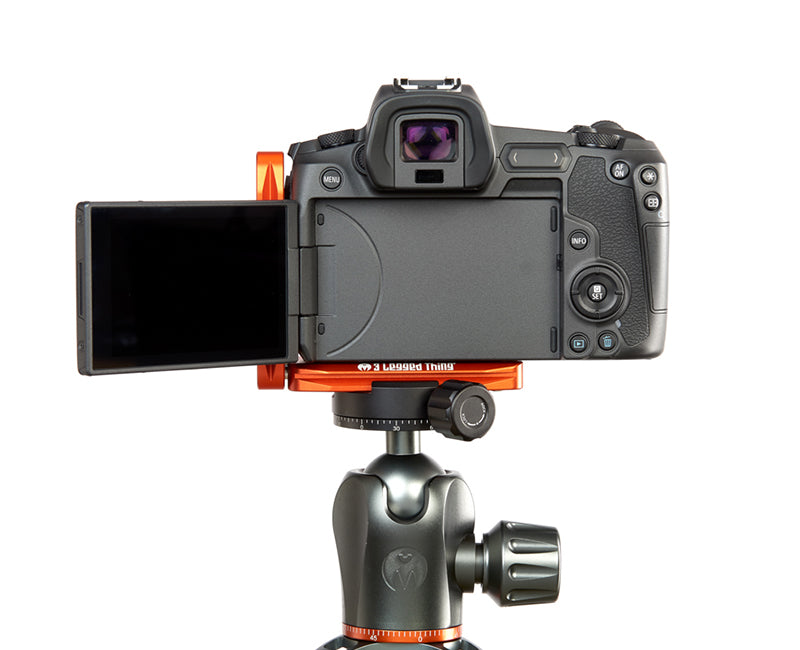 CANON EOS-R on Ellie - Rear view