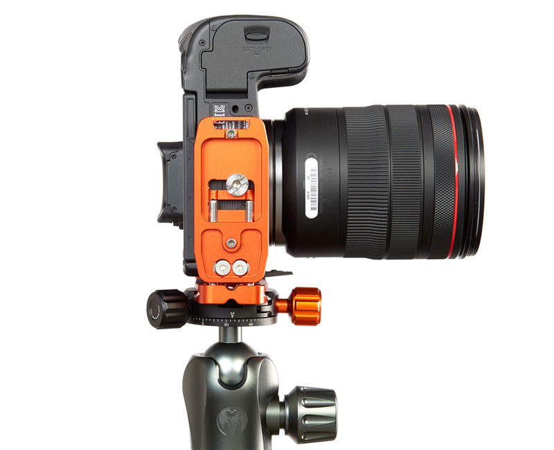 CANON EOS-R on Ellie - Underside view