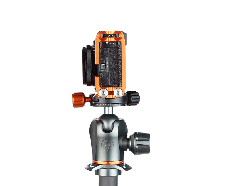 FUJIFILM X100F on Ellie Short - Side view