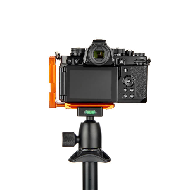 Nikon ZF on Lexie - Rear view