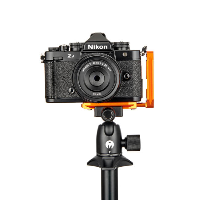 Nikon ZF on Lexie - Front view