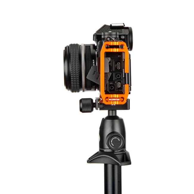 Nikon ZF on Lexie - Side view