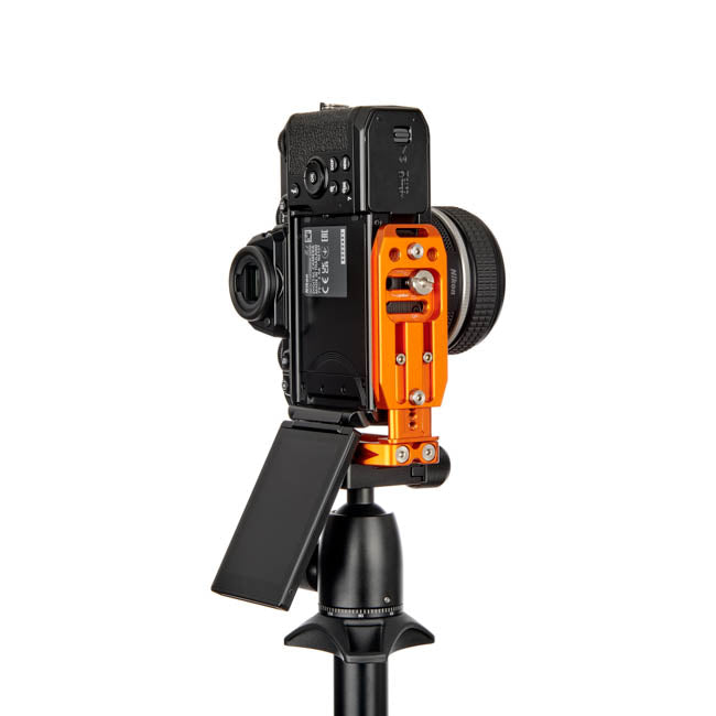 Nikon ZF on Lexie - Underside view