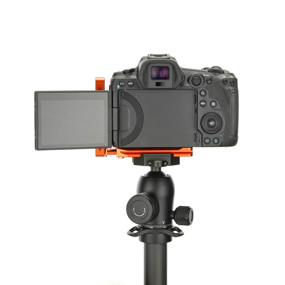 Canon R5 sur Lexie QD - Vue arrière