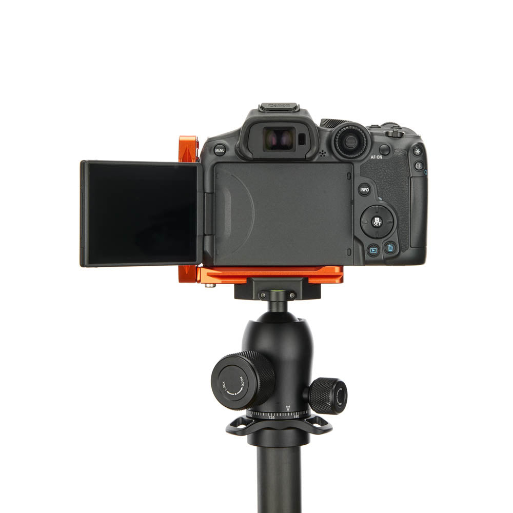 Canon R7 sur Lexie QD - Vue arrière