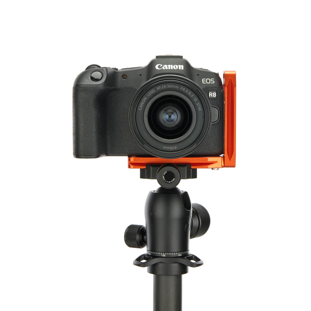 Canon R8 sur Lexie QD - Vue de face