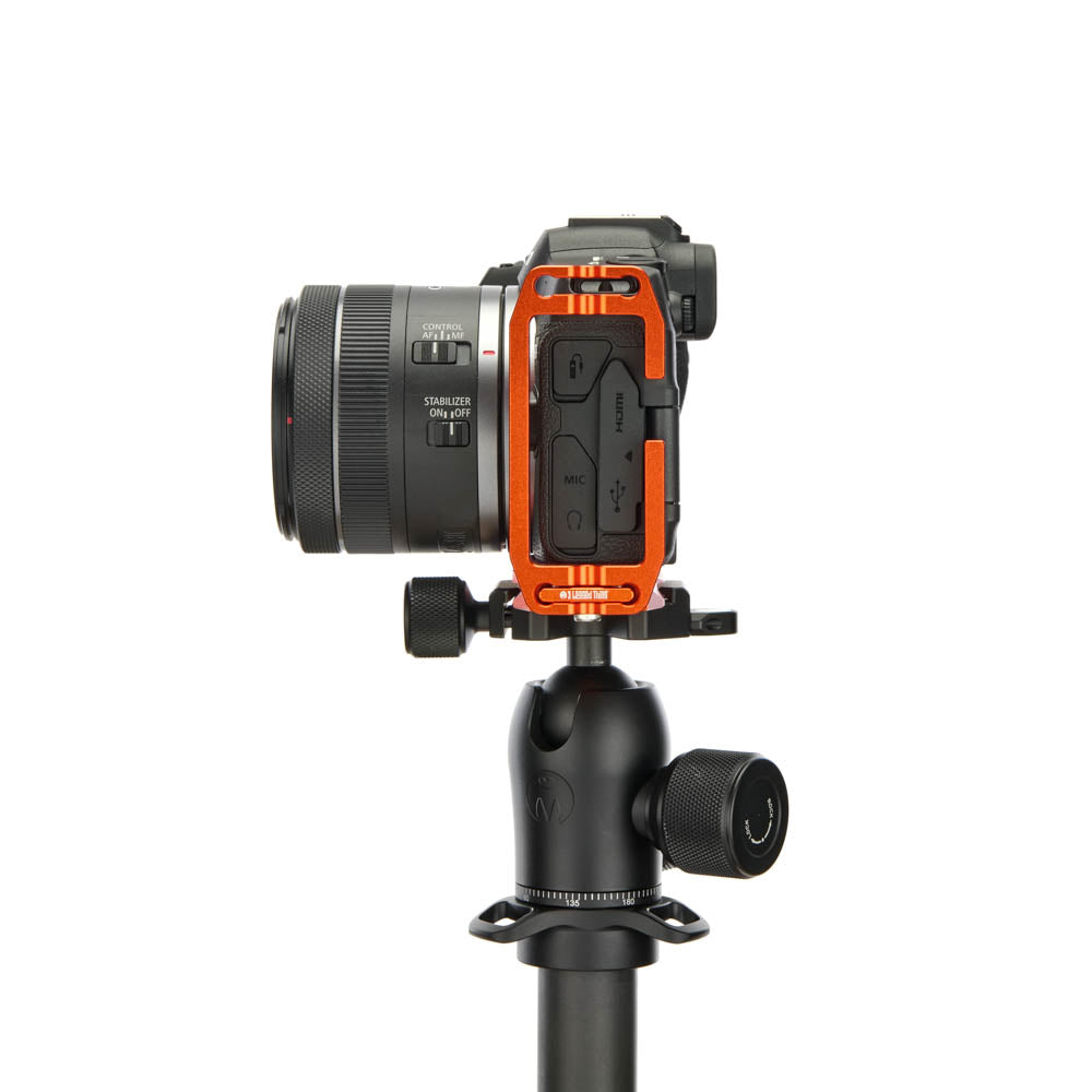 Canon R8 sur Lexie QD - Vue latérale
