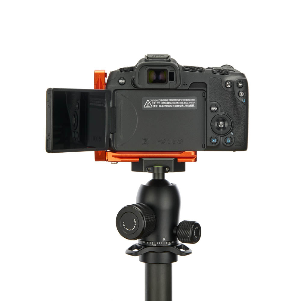 Canon R8 sur Lexie QD - Vue arrière