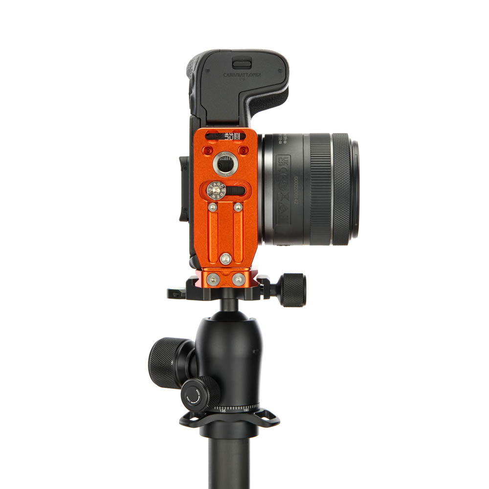 Canon R8 sur Lexie QD - Vue de dessous