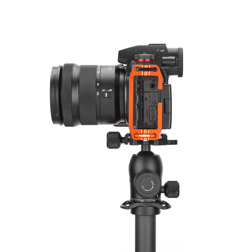 Panasonic S1 II sur Lexie QD - Vue latérale