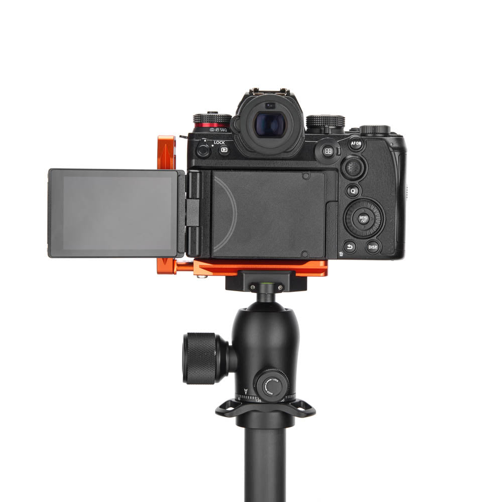 Panasonic S1 II sur Lexie QD - Vue arrière