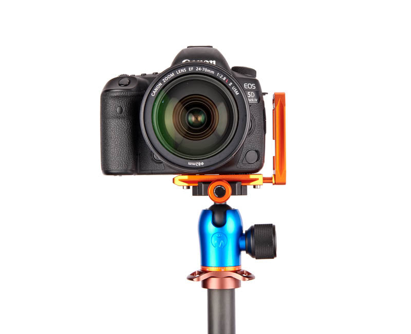 Canon 5D MK IV on Lexie - Front view